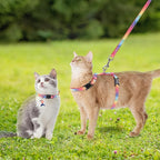 PAWCHIE Cat Harness with Leash and Collar Set - Escape Proof Adjustable Glow in The Dark Cat Harness for Kitty Outdoor Walking Multicolor