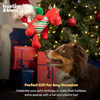 Huxley & Kent Funny Dog Toy w/Squeaker – Holiday Power Plush Squeaky Dog Toys for Small, Medium & Large Dogs – Soft Stuffed Animal for Indoor Play & Fetch - Snowball Dragon, Small