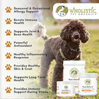 Wholistic Pet Organics Pure Ester-C Powder for Dogs - 2 Oz - Healthy Alternative to Dog Allergy Chews - Vitamin C Supplement for Dog Allergy Relief, Immune Support, Itch Relief for Dogs - Made in USA
