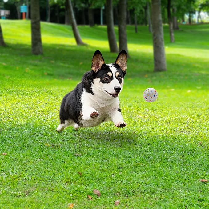 Dog Balls 2.5 Inch, Indestructible Dogs Tennis Balls 6 Pack for Aggressive Chewers, Durable Bouncy Floating Interactive Dog Toys for Large and Medium Dogs, Packed in Mesh Bag (ETPU Material)