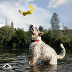 Playology Hound2O Dog Toys | Floating Tug Stick for Tug of War | Yellow Outdoor Toy - Easy to Clean and Made from Non Toxic Materials
