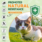 Flea and Tick Treatment for Cats - 200 Chews Flea and Tick Prevention for Cat Chewables - Flea Treatment for Cats All Breeds & Ages - Natural Cat Fleas and Ticks Defense - Chicken Flavor