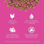 Go! Solutions Skin + Coat Care, Dry Cat Food, Chicken Recipe with Grains, 8 lb Bag