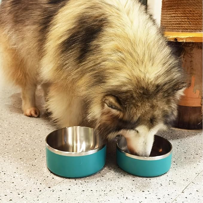 LIHONG Stainless Steel Dog Bowls for Large Dogs,Dog Food Water Bowls with Non Slip Rubber Bottom,Pet Feeding Bowl,Double Wall Insulated,Rustproof(64oz,Deep Green)