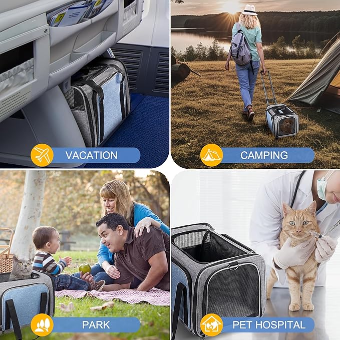 Pet Carrier with Wheels for Cat and Small Dogs: Expandable Airline Approved Rolling Cat Carrier - Cat Carrier Soft for Pets Under 25lbs Travel Plane Trip