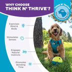 Outward Hound by Nina Ottosson Treat Tumble Interactive Puzzle Ball Dog Toy, Level 1 Beginner, Blue, Small (4.75" Diameter)