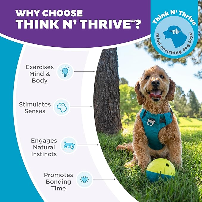 Outward Hound by Nina Ottosson Treat Tumble Interactive Puzzle Ball Dog Toy, Level 1 Beginner, Blue, Small (4.75" Diameter)