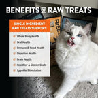 Northwest Naturals Raw Rewards Freeze-Dried Salmon Treats for Dogs and Cats - Bite-Sized Pieces - Healthy, 1 Ingredient, Human Grade Pet Food, All Natural, Proudly Made in USA, 2.5 Oz (Pack of 3)