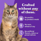 Halo Wet Cat Food Variety Pack, Grain Free Three Canned Wet Cat Pate, Chicken Stew, Salmon Stew & Turkey Stew, 5.5 Oz Can (Pack of 12)