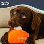 Huxley & Kent Funny Dog Toy w/Squeaker – Fall Power Plush Squeaky Dog Toys for Small, Medium & Large Dogs – Soft Stuffed Animal for Indoor Play & Fetch - Punkin Pie, Large