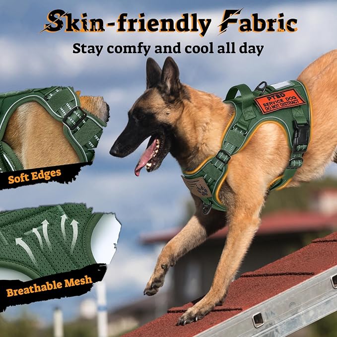 rabbitgoo Dog Harness for Large Dogs No Pull, Tactical Service Pet Vest with Molle and Control Handle, Adjustable and Reflective Military Harness for Easy Walking and Training, Green, L