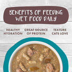 Weruva Classic Cat Stews!, Stew's Clues with Turkey, Chicken & Salmon in Gravy, 5.5oz Can (Pack of 8)