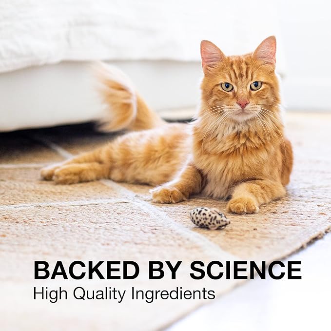 Nutramax Laboratories Denosyl Liver and Brain Health Supplement for Small Dogs and Cats - With S-Adenosylmethionine (SAMe), 3 Pack, 90 Total Tablets