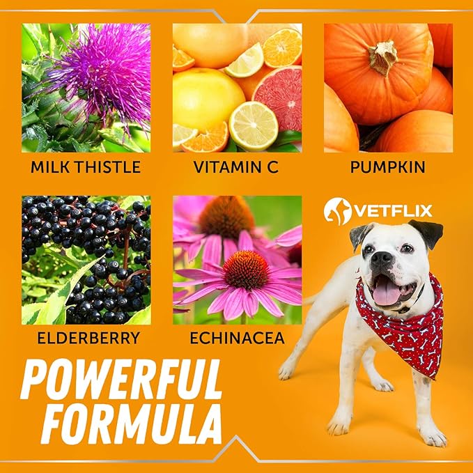 Allergy & Immune Drops for Dogs & Cats - Natural Supplement with Turmeric & Milk Thistle - Seasonal Allergy Relief & Immune Support - 2 Fl Oz