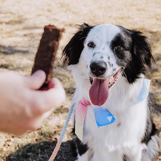 Leash & Load Dog Treats Beef Jerky Snack Bars, 5 oz Bag, Puppy and Training Treats, Natural Superfood Grain Free Made with Real Beef, Superfoods, Corn, Poultry & Soy Free