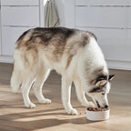 Open Farm, RawMix Grain-Free Dry Dog Food, Protein-Packed Kibble Coated in Bone Broth with Freeze Dried Raw Chunks, Chicken & Turkey, Open Prairie Recipe, 3.5lb Bag