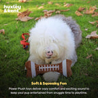 Huxley & Kent Funny Dog Toy w/Squeaker – Power Plush Squeaky Dog Toys for Small, Medium & Large Dogs – Soft Stuffed Animal for Indoor Play & Fetch - Football Bone, Large