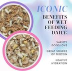 Pamper Like Paris Natural Wet Dog Food, Beef and Duck Recipes Cooked in Broth Variety Pack (2.75oz Cup, Pack of 10)