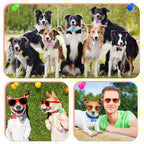 Roowest 150 Pcs Blank Dog Pet Tags for Engraving 38mm Aluminum Bone Shape Name Tag Colorful Double Sided Dog Cat Phone Number Pendants