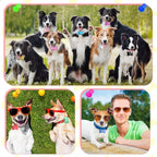 Roowest 100 Pcs Blank Dog Pet Tags for Engraving 38mm Aluminum Bone Shape Name Tag Colorful Double Sided Dog Cat Phone Number Pendants