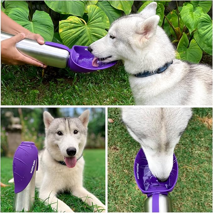 PupFlask Large Dog Water Bottle | 27 or 40 OZ Stainless Steel | Convenient Dog Drink Dispenser | Puppy Travel Water Bowl | Portable Pet Hydration Bottle | Leak Proof | Perfect Size For All Breeds