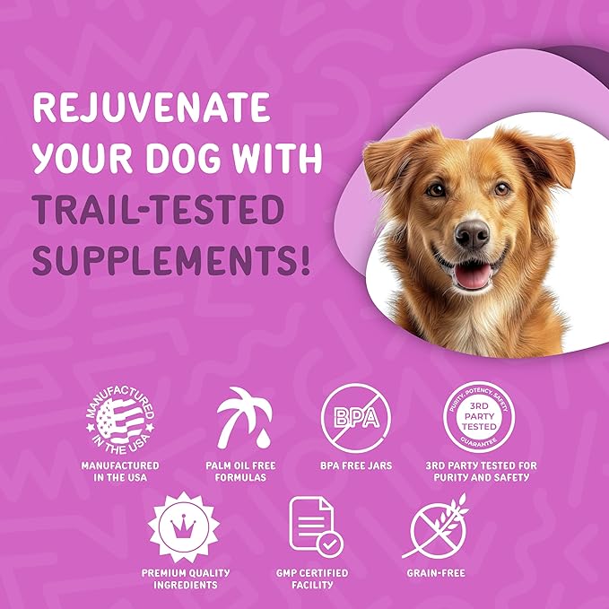 waggedy Advanced Probiotics Gut & Digestion Food Topper — Digestive Enzymes w/Papaya — Probiotic Powder — Dog Supplement Powder — Products for Dogs Over 6 Weeks (114g)