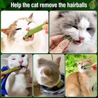 120g/4.23oz Cat Grass Teething Stick Hairballs,Chew Sticks for Cats,Catnip Toys Sticks Indoor Kitten Chew Stick