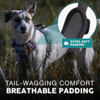 Embark Adventure Dog Harness, Reflective Trim XL Dog Harness for Extra Large Dogs No Pull - Military Grade Nylon, 2 Leash Clips & Gel Lined Handle. Soft & Padded Puppy Dog Harnesses for Any Breed