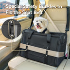 Petsfit Large Cat Carrier for 2 Cats, Lightweight Collapsible Double Cat Carrier for Travel, 4-Sided Breathable Mesh, with Adjustable Shoulder Strap, Locking Zipper and Washable Fleece Pad Black