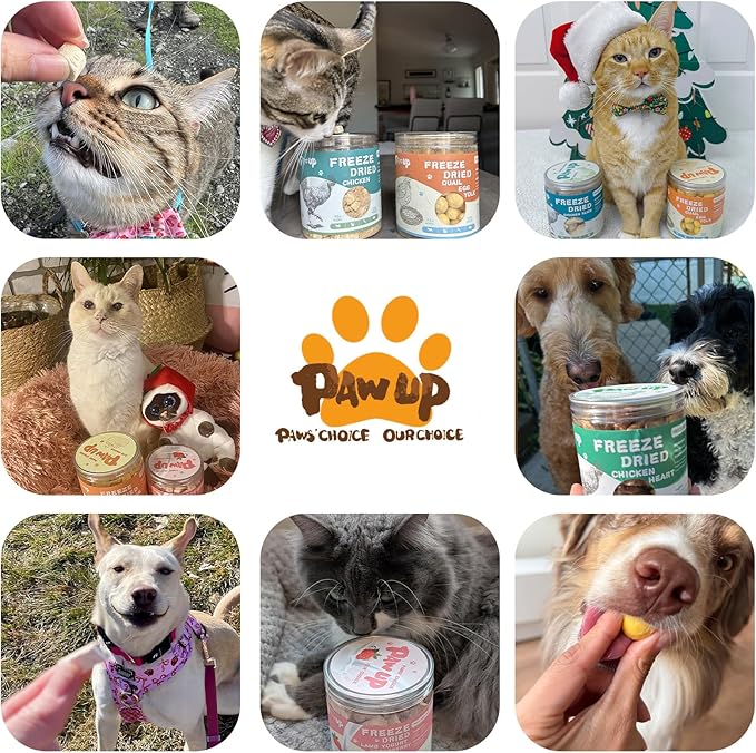 PAWUP Freeze Dried Quail Egg Yolk Pet Treats, Freeze-Dried Pet Food for Dogs, Cats, Pure Fresh Ingredient, 4.2 oz, Rawhide Free, Gluten&Grain Free