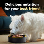 Cesar Wet Dog Food Home Delights & Classic Loaf in Sauce, Variety Pack, 3.5 oz. (36 Count, Pack of 1)
