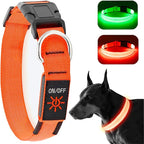 LED Dog Collar - Adjustable, Waterproof, Glow in Dark for Night Walking, Medium Large Dogs