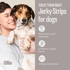 Ollie Jerky Dog Treats Variety Pack, Chicken and Apple and Beef and Sweet Potato Bundle, All Natural, Healthy, Made with Real Meat 10 Oz. Pack of 2