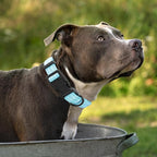 Mile High Life Dog Collar | Nylon Reflective Dog Collars | Light Weight Puppy Collars | Blue Dog Collars for Large Dogs (Solid Blue, Large)