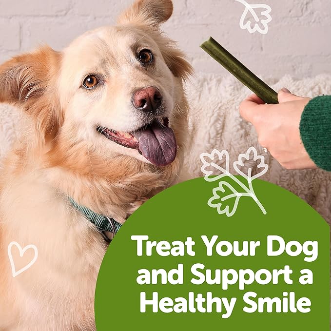 WHIMZEES Wellness Freshzees Dog Dental Treats, Natural Chews, Medium Size Stick, (14 Count)