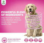 Doggie Dailies Skin & Coat Supplement + Antioxidant Support, 225 Soft Chews, Salmon Oil for Dogs Skin and Coat with Collagen, Omega 3, Krill Oil, Biotin, & Coconut Oil for Dogs (Salmon)