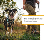 Ruffwear, Hi & Light, Everyday Lightweight Dog Harness, Trail Running, Walking, Hiking, All-Day Wear, Alpenglow Pink, Large/X-Large