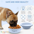 2-in-1 Insulated Dog Bowl with Collapsible Lid & Handle – Stainless Steel, Non-Slip Rubber Base – Portable Pet Water & Food Bowl for Dogs & Cats – 30 OZ + 20 OZ – Indoor & Outdoor (Blue)