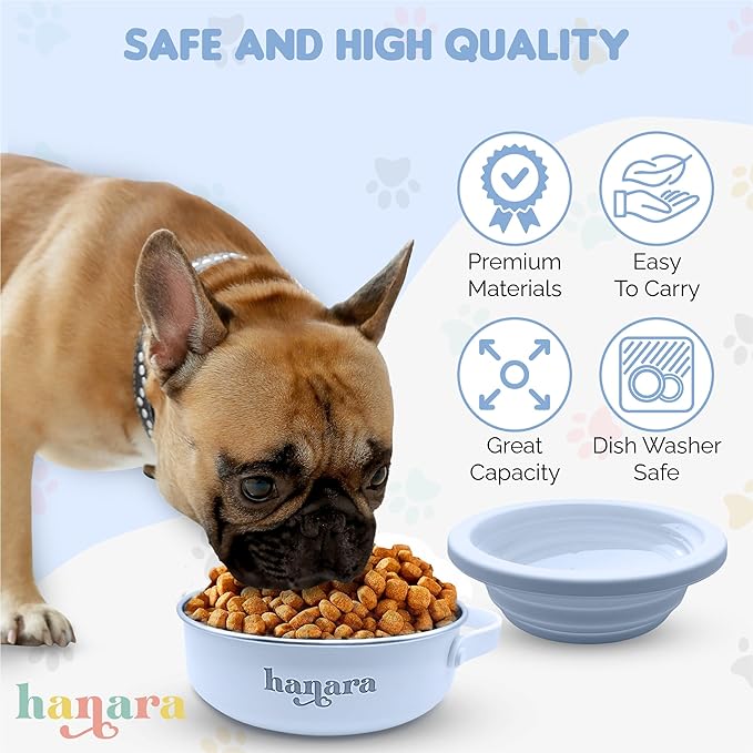 2-in-1 Insulated Dog Bowl with Collapsible Lid & Handle – Stainless Steel, Non-Slip Rubber Base – Portable Pet Water & Food Bowl for Dogs & Cats – 30 OZ + 20 OZ – Indoor & Outdoor (Blue)