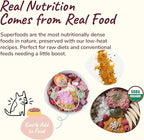 kin+kind Hip and Joint Supplement for Dogs & Cats – Vet Formulated Natural Joint Support with Organic Turmeric, Black Pepper & Coconut – Dog Essentials & Cat Essentials – Made in USA – 4 oz (Medium)