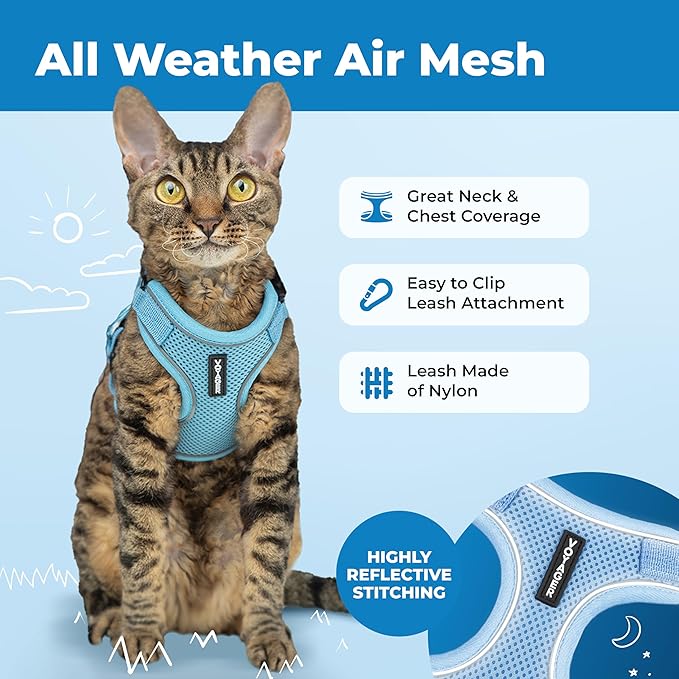Voyager Escape-Proof Step-in Lock Cat Harness & 5ft Neoprene-Handle Leash Set All-Weather Mesh with Reflective Stitching for Small to Large Cats by Best Pet Supplies, Baby Blue (327), XS