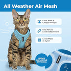 Voyager Escape-Proof Step-in Lock Cat Harness & 5ft Neoprene-Handle Leash Set All-Weather Mesh with Reflective Stitching for Small to Large Cats by Best Pet Supplies, Baby Blue (327), XXXS