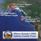 Grizzly Pet Products Salmon Plus Omega 3-6-9 Food Supplement for Dogs and Cats, 16 Ounce