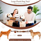 Squeaky Dog Toys, Interactive Tug of War Puppy Toys, Funny Plush Dog Chew Toys, Stuffed Dog Toys for Small,Medium and Large Dogs - Platypus