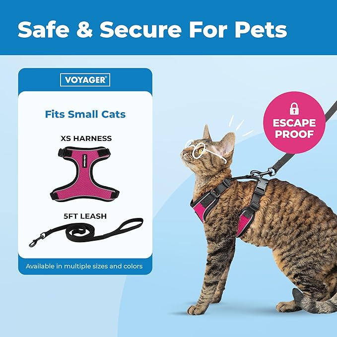 Voyager Escape-Proof Step-in Lock Cat Harness & 5ft Neoprene-Handle Leash Set All-Weather Mesh with Reflective Stitching for Small to Large Cats by Best Pet Supplies, Black Trim-Fuchsia (327), XS