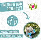 HuggleHounds Plush Dog Toy - Fuzzy Birthday Dog Toy, Plush Soft Fleece, Interactive Durable Stuffed, for Small and Large Breeds with Squeaker - Birthday Bone