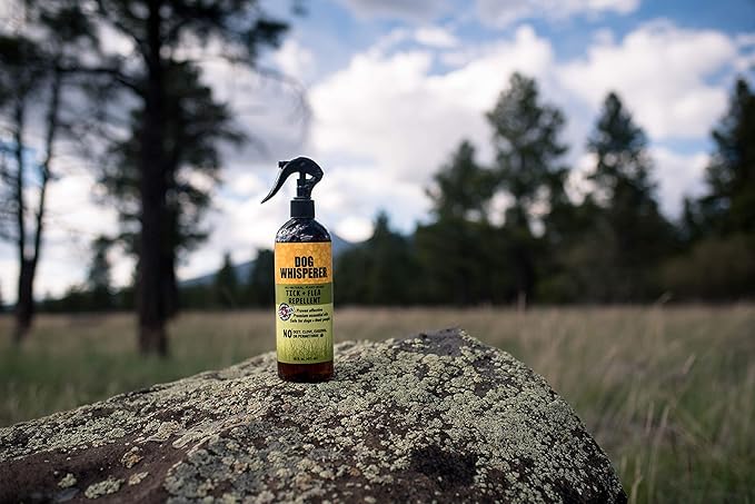 Dog Whisperer Tick + Flea Repellent, All-Natural, Extra Strength, Effective on Dogs and Their People 16 oz (2-Pack)