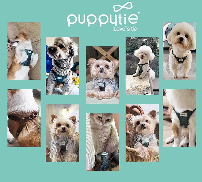 Puppytie No Pull Dog Harness with Multifunction Dog Leash,Soft Adjustable No Choke Escape Proof Pet Harness Vest for Medium Dogs,Glossy Dark Green,M