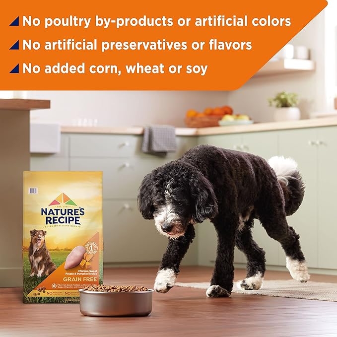 Nature's Recipe Grain Free Dry Dog Food, Chicken, Sweet Potato & Pumpkin Recipe, 12 lb. Bag
