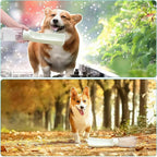 Portable Dog Water Bottle - Foldable Dog Water Dispenser | Leak Proof & Food Grade Plastic Travel | Pet Water Bottle for Cat Outdoor Walking Hiking Travel（US） (White, 19oz)